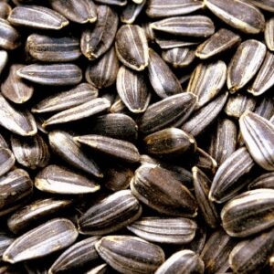 Sunflower Seeds